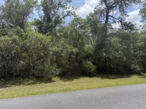tbd SW 29th Terrace Rd, Ocala, FL 34473