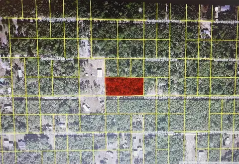 tbd NE Ne 234th Pl, Fort Mc Coy, FL 32134