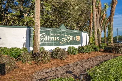 View/Area - 270 E Glassboro Ct #2B, Hernando, FL 34442 photo 5 of 5