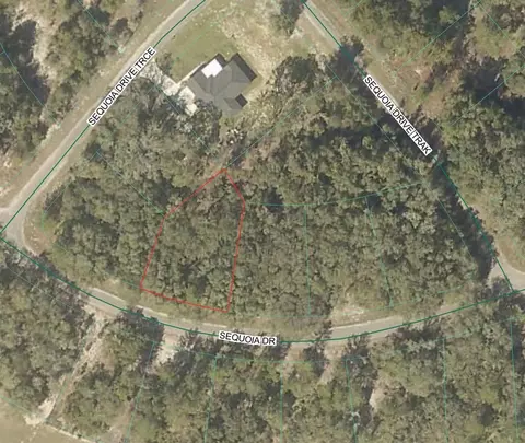 Sequoia Loop Drive, Ocklawaha, FL 32179