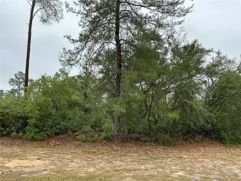 SW 20th Court, Ocala, FL 34473