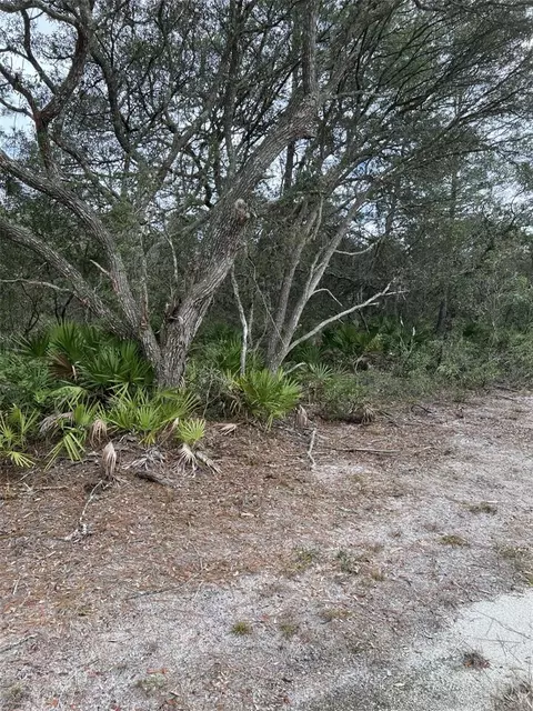 0 NE 144 Ct, Fort Mc Coy, FL 32134