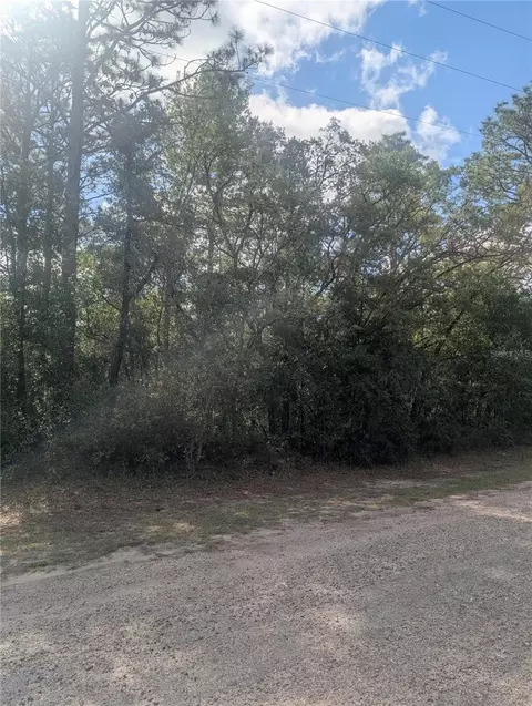 8791 N Folland Dr, Dunnellon, FL 34433