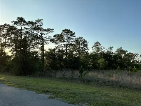Reynolds Parkway, Orlando, FL 32833