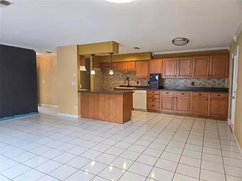 Kitchen - 19 Spring Dr Pl, Ocala, FL 34472 photo 3 of 4