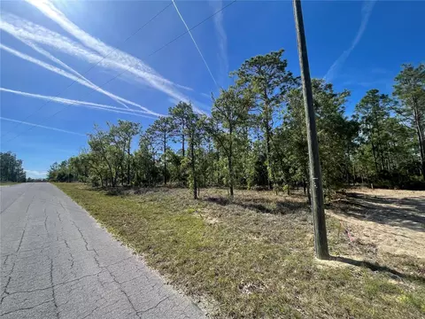 NE 7th Place, Williston, FL 32696 photo 3
