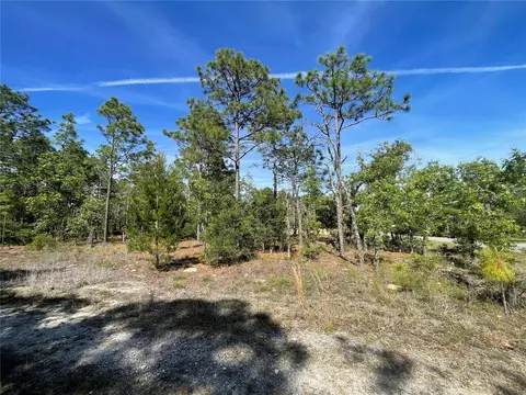 NE 7th Place, Williston, FL 32696 photo 6