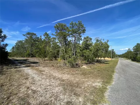 NE 7th Place, Williston, FL 32696 photo 4