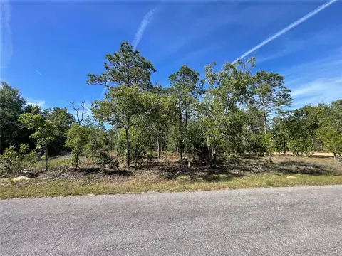 NE 7th Place, Williston, FL 32696 photo 5