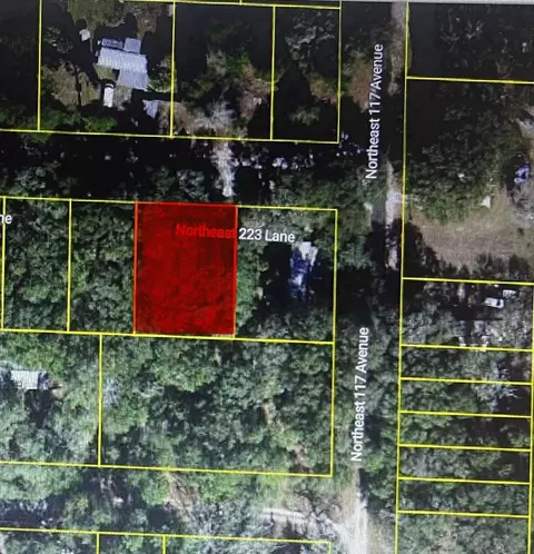 tbd NE 223rd Ln, Fort Mc Coy, FL 32134
