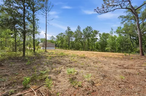 12671 NE 16th St, Williston, FL 32696 photo 10