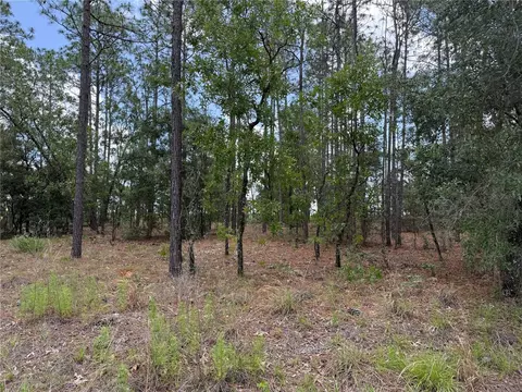 NW Buena Vista Road, Dunnellon, FL 34431