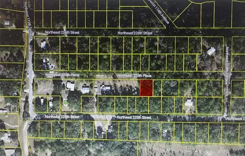 tbd NE 225th Pl, Fort Mc Coy, FL 32134