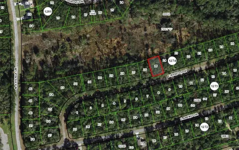 719 E Byrd Loop, Dunnellon, FL 34434 photo 5