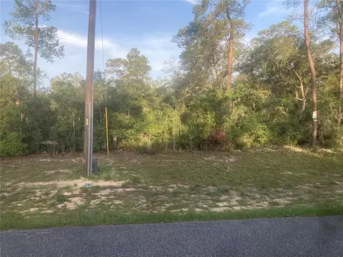 00 SW 50th Terrace Rd, Ocala, FL 34473 photo 3