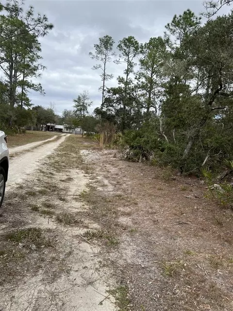 0 NE 144th Ct, Fort Mc Coy, FL 32134