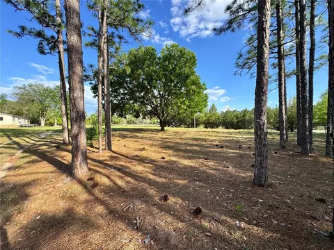4551 NE 132nd Ct, Williston, FL 32696