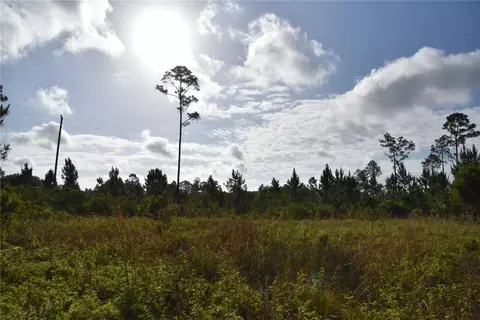 22370 NE 130th Ave, Fort Mc Coy, FL 32134