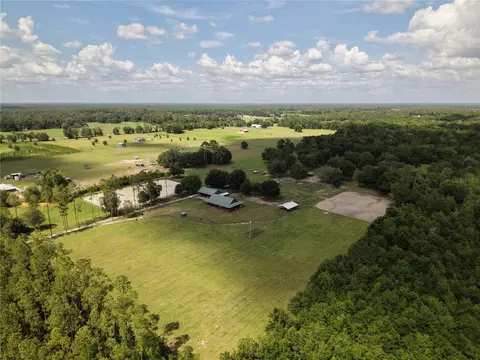 View/Area - 7191 NE 150th Ave, Williston, FL 32696 photo 8 of 9