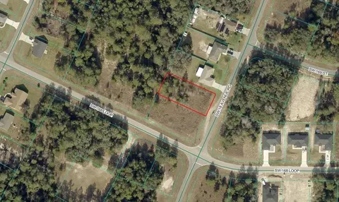 SW 18th Ave River, Ocala, FL 34473 photo 2
