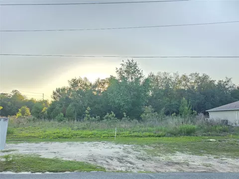 SW 18th Ave River, Ocala, FL 34473 photo 3