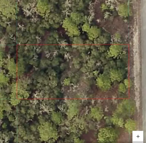 tbd SW Seaweed Ave, Dunnellon, FL 34431