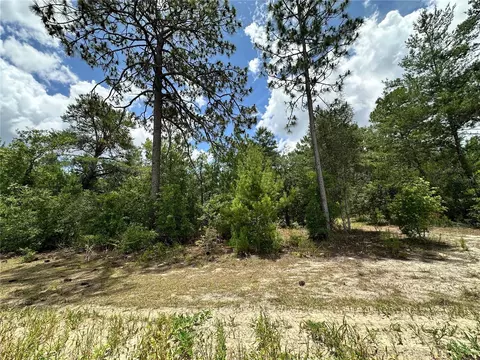tbd NE 69th Pl, Bronson, FL 32621 photo 6