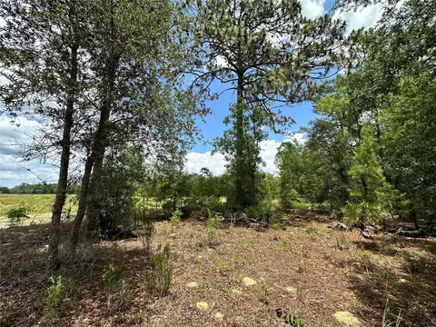 tbd NE 69th Pl, Bronson, FL 32621