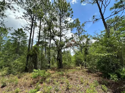 tbd NE 69th Pl, Bronson, FL 32621 photo 4