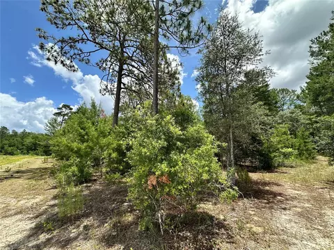 tbd NE 69th Pl, Bronson, FL 32621 photo 7