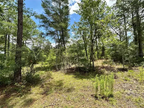tbd NE 69th Pl, Bronson, FL 32621 photo 3