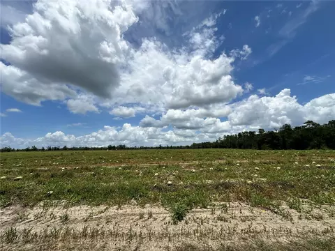 tbd NE 69th Pl, Bronson, FL 32621 photo 5