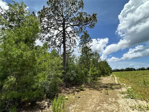 tbd NE 69th Pl, Bronson, FL 32621 photo 8