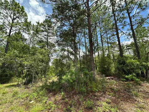 tbd NE 69th Pl, Bronson, FL 32621 photo 11