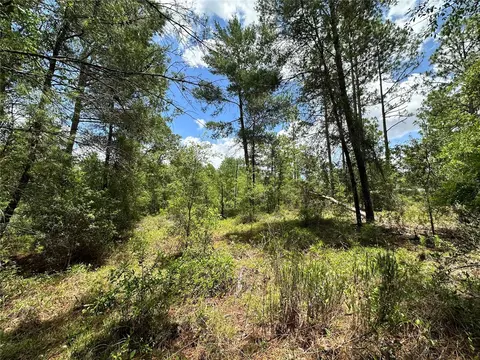 tbd NE 69th Pl, Bronson, FL 32621 photo 12