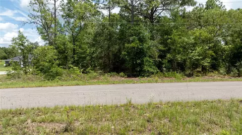 Ne 9th St, Williston, FL 32696 photo 9