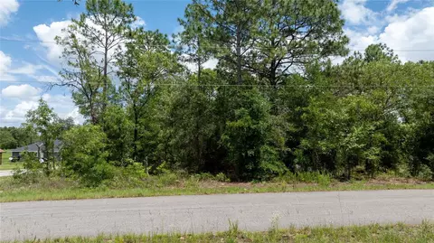 Ne 9th St, Williston, FL 32696 photo 10