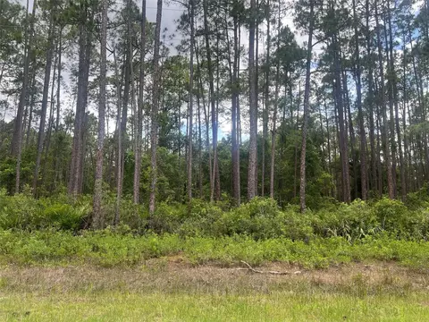 137 E Boundary Dr, Georgetown, FL 32139