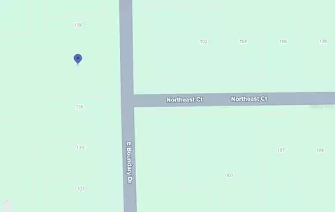 137 E Boundary Dr, Georgetown, FL 32139 photo 11