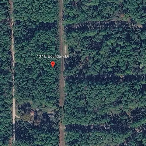 137 E Boundary Dr, Georgetown, FL 32139 photo 10