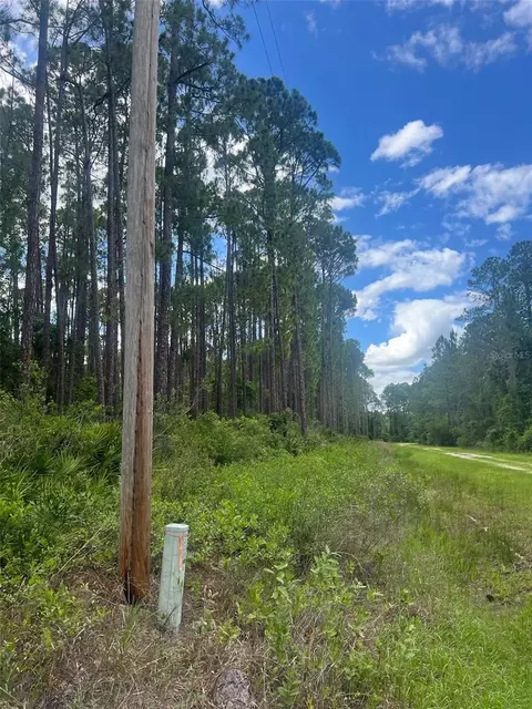 137 E Boundary Dr, Georgetown, FL 32139 photo 8