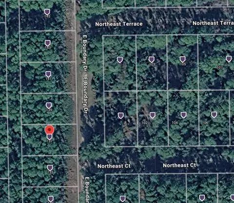 137 E Boundary Dr, Georgetown, FL 32139 photo 12