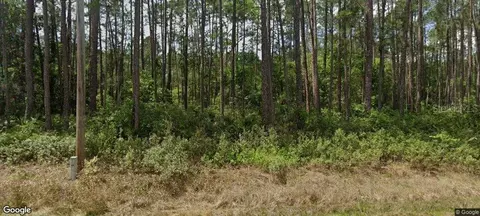 137 E Boundary Dr, Georgetown, FL 32139