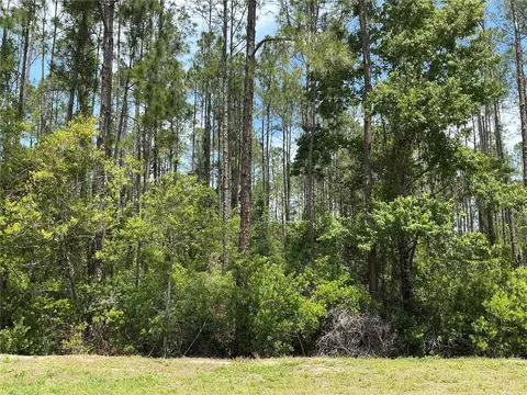 4430 Vicki St, Hastings, FL 32145