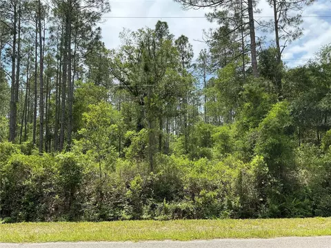 4365 Vicki St, Hastings, FL 32145