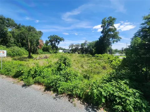 tbd 97th Street Rd, Anthony, FL 32617 photo 5