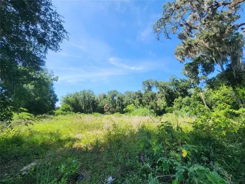 tbd 97th Street Rd, Anthony, FL 32617 photo 4