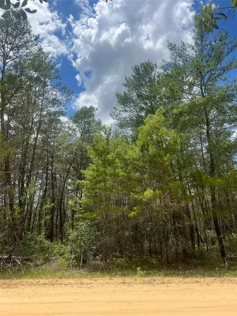 Neilson Ave, Interlachen, FL 32148