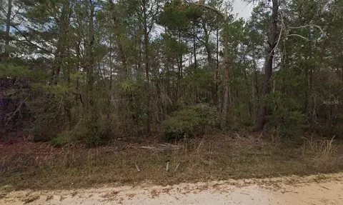 Neilson Ave, Interlachen, FL 32148