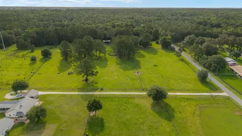 15015 NW 185th St, Williston, FL 32696 photo 14